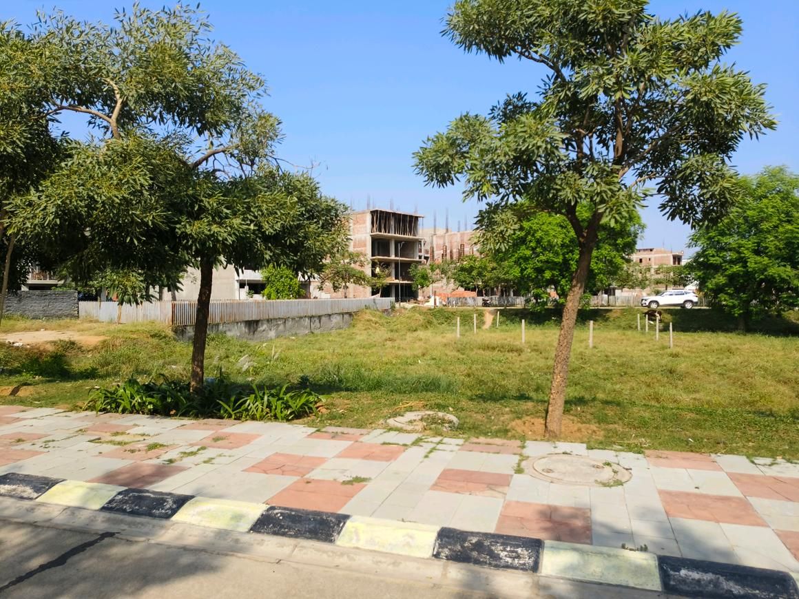 View 7