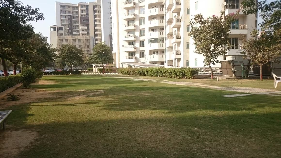 View 11