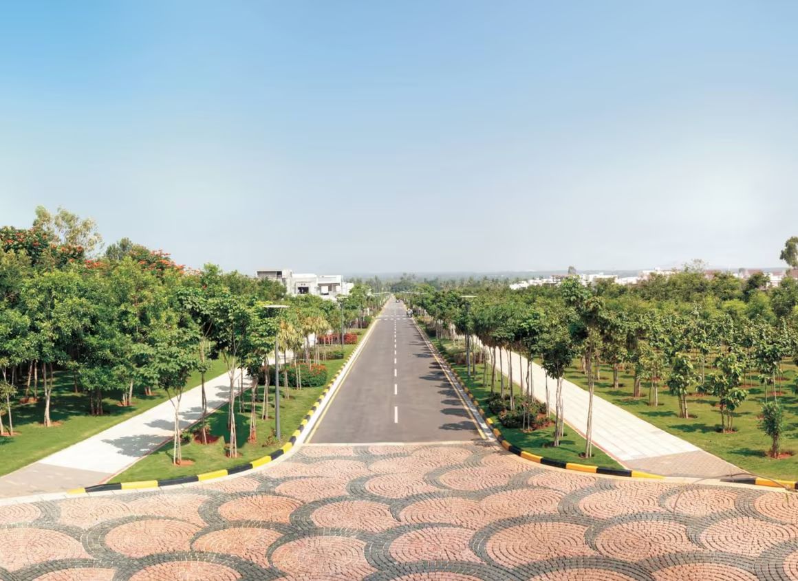 View 7