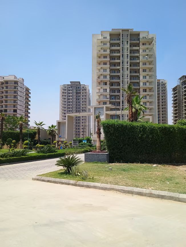 View 7