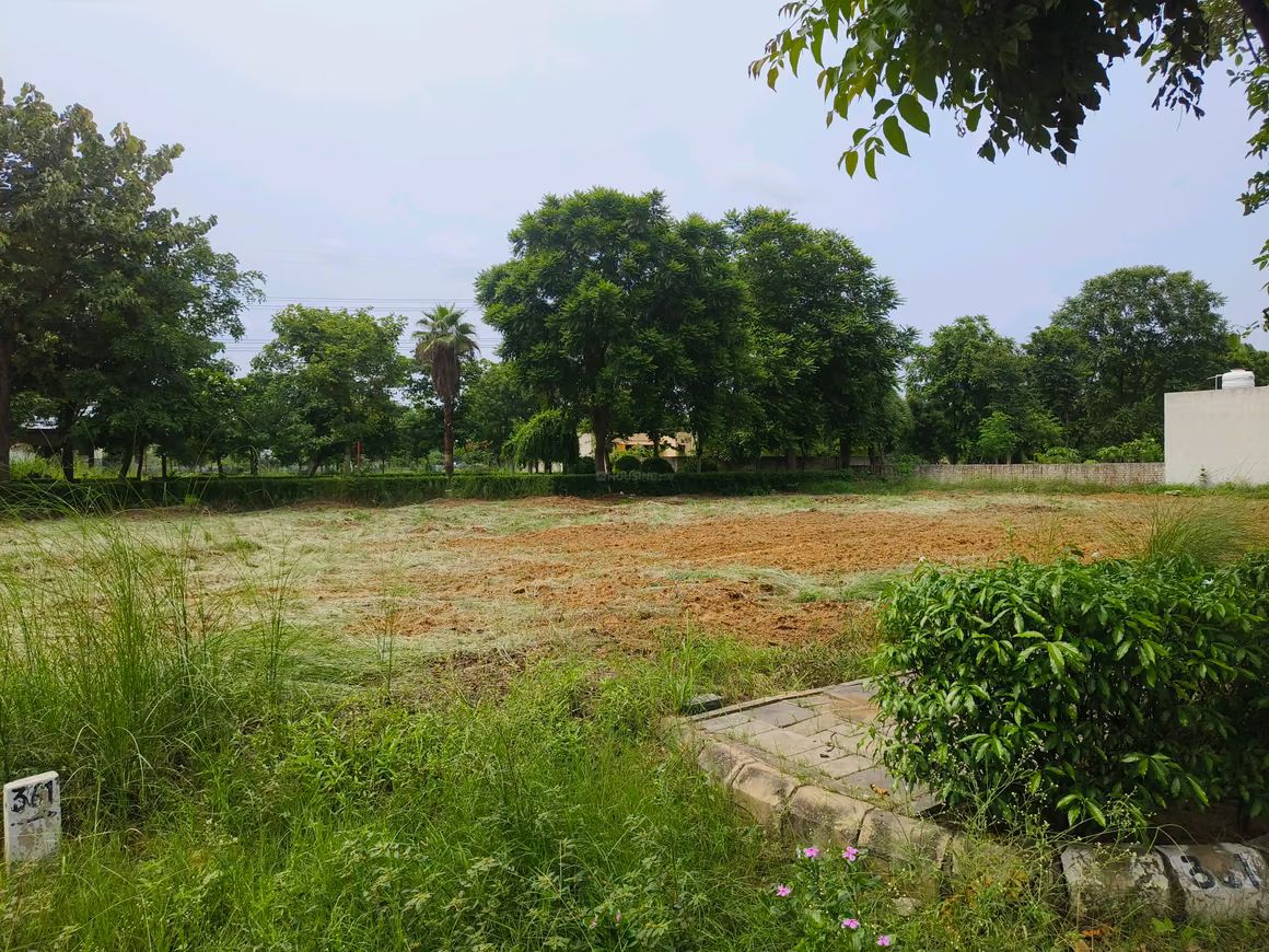 View 11