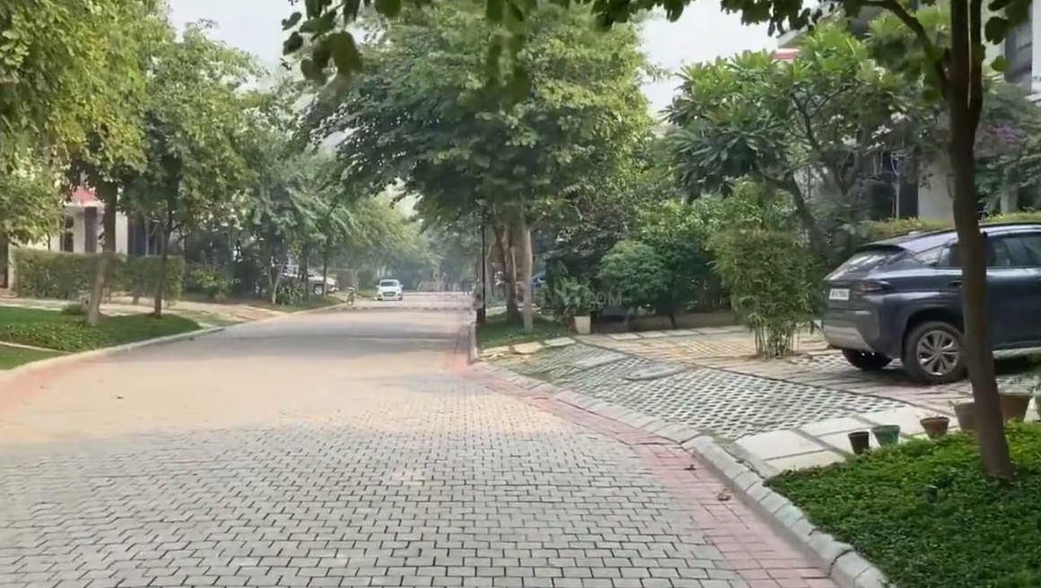 View 1