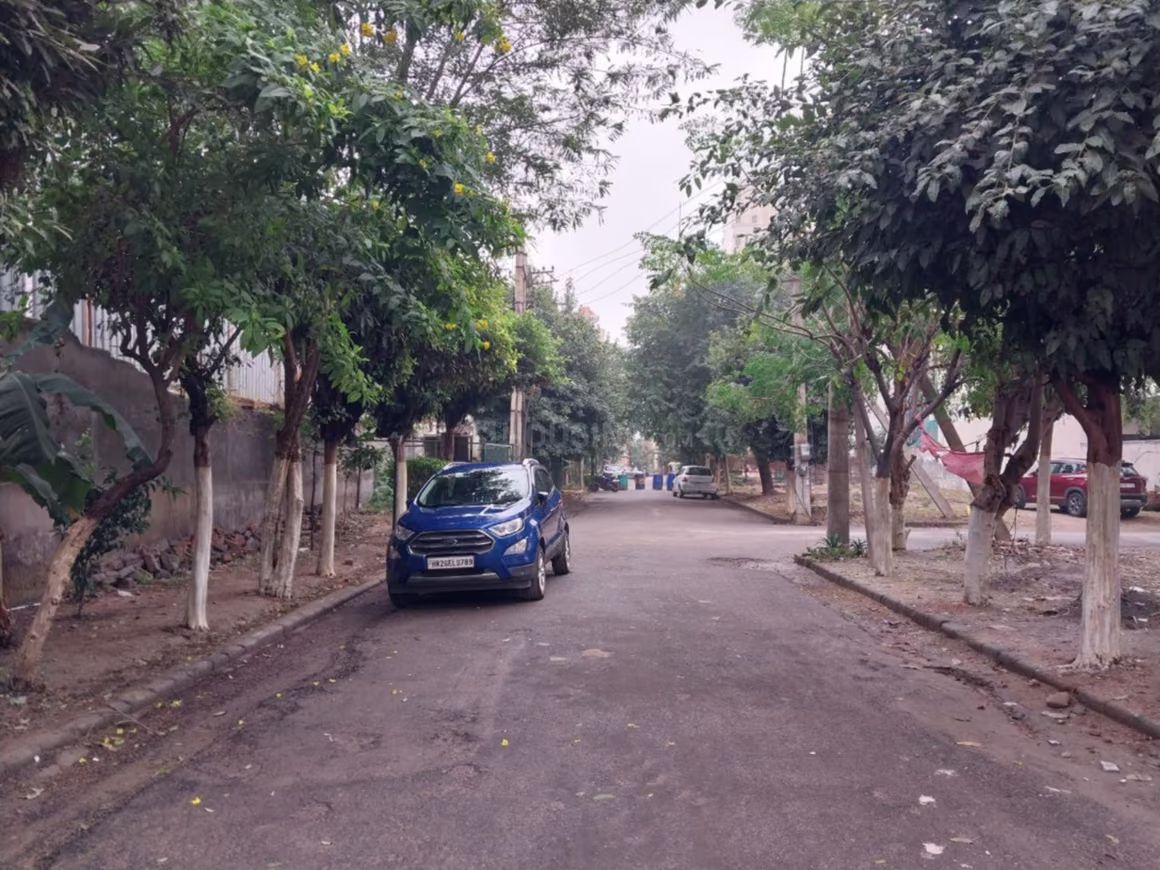View 14